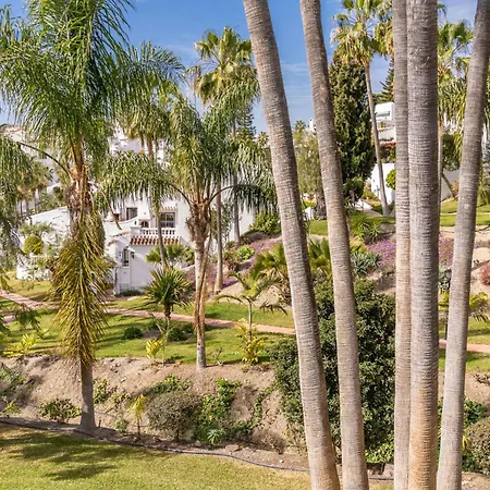 Palmas 4b Oasis